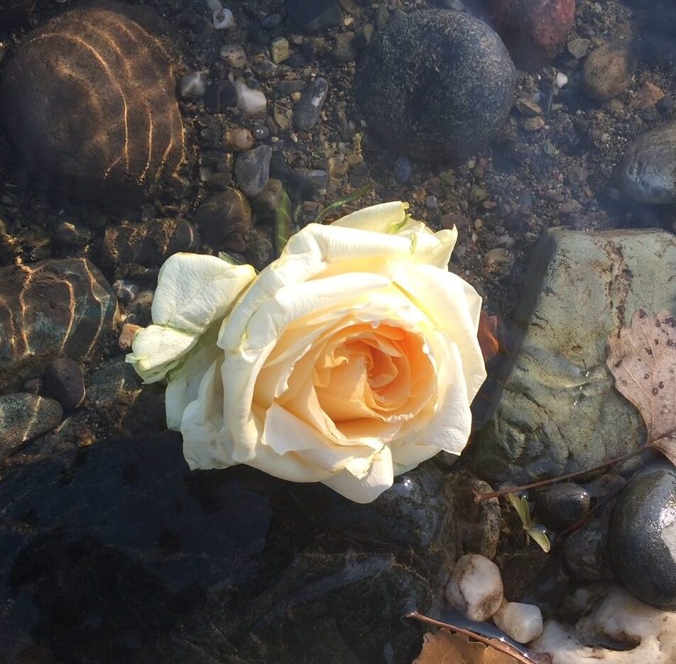 img 5457 rotated e1721609069913